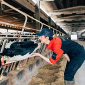Imprenditoria femminile, oltre 1.400 aziende agricole guidate da donne in provincia di Mantova