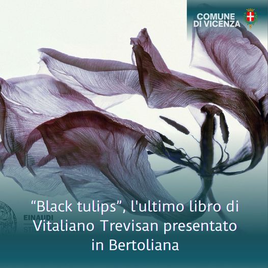 Vicenza “Black Tulips”: